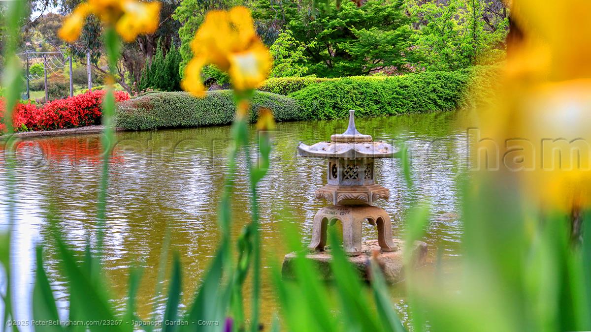 Peter Bellingham Photography Japanese Garden - Cowra